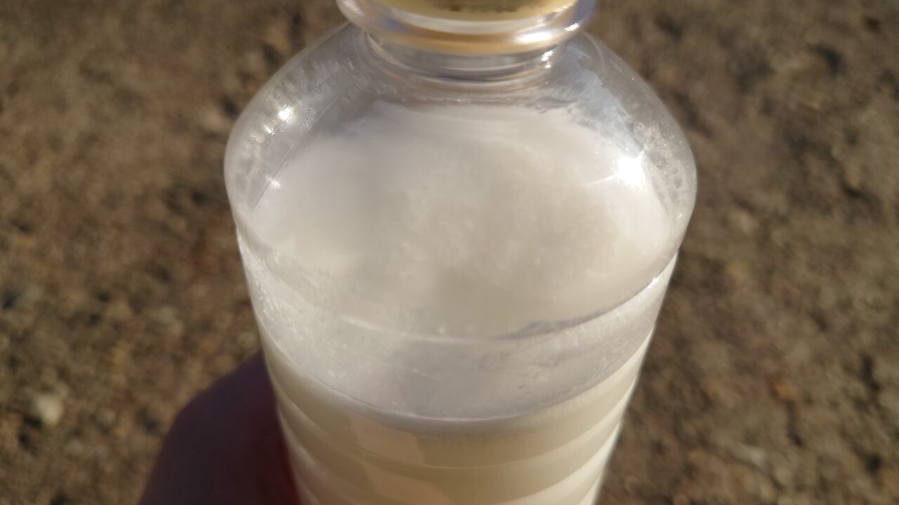 24時間経過した納豆菌。